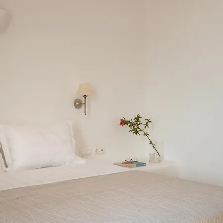 Villa The Palm Trees - Prive Beach Access, Private Tennis/basketball Court