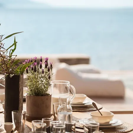 The Palm Trees - Prive Beach Access, Private Tennis/basketball Court * Antiparos